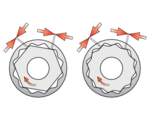 Cheie tubulara bihexagonala 12mm, 1/2