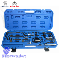 Fixare Distributie Peugeot si Citroen Diesel si Benzina - QS10085-SA
